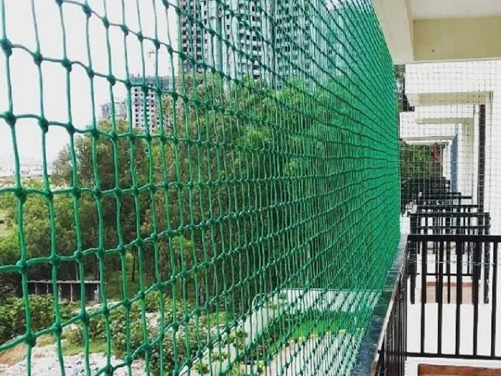 Pigeon Net in Noida